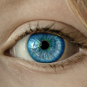 segmento anterior